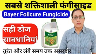 Tebuconazole 10  Sulphur 65 wg  गेहूं में इस समय देखें इसका चमत्कार  ज़रूर प्रयोग कीजिये Hedge [upl. by Ahsirk992]