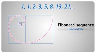 How to draw  the Fibonacci sequence  golden spiral  step by step tutorial english [upl. by Eet203]