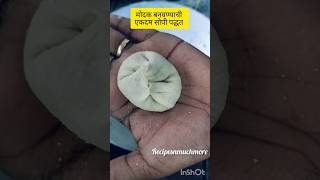 गणपती बापा मोरया  मोदक बनवण्याची एकदम सोपी पद्धत modak ganpati RecipesNMuchMore23 [upl. by Llevra]