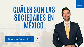 SOCIEDADES MERCANTILES EXPLICACIÓN DE LOS DIFERENTES TIPOS SOCIALES EN MÉXICO LGSM [upl. by Saxet]