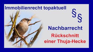 Nachbarschaftsstreit Grenzbewuchs  ThujaHecke zurückschneiden Tutorial  Nachbarrecht [upl. by Aloivaf]