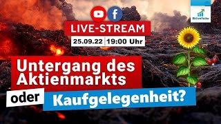 Untergang des Aktienmarkts oder Kaufgelegenheit [upl. by Linnea227]