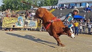 SON TOROS DIFICIL DE QUEDARLES Los Destructores de Memo Ocampo por primera vez en michigan [upl. by Elka]