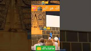 shortfeed viralvideo madina ytviral trendingshorts Makkah [upl. by Inalan371]