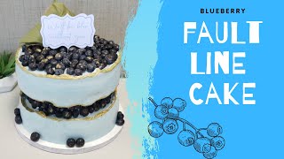 Blueberry Fault Line Cake [upl. by Polash102]