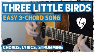 quotThree Little Birdsquot Easy 3Chord Song  A D E Chords  Perfect For Beginners  Bob Marley [upl. by Ecirehc736]