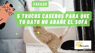 😺5 REMEDIOS CASEROS PARA QUE LOS GATOS NO ARAÑEN EL SOFÁ✅ PROTEGE EL SOFA DE LAS UÑAS DEL GATO [upl. by Dugald]