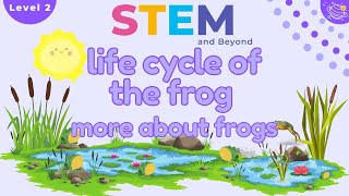 Life Cycle of a Frog  KS1 Year 2 Science  STEM Home Learning [upl. by Rosenfeld]