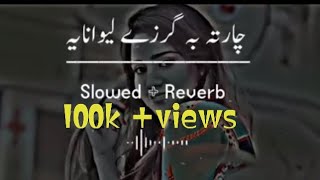 chrta ba garzy lewania pashto slowed and reverb songs Hits video [upl. by Larsen291]