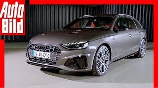 Audi A4 Facelift 2019 Neuvorstellung  Innenraum  Infos  Sitzprobe [upl. by Nered]