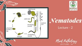 Nematodes  2  Plant Pathology  14  Life Cycle  Symptoms Exhibited  Extraction Methods [upl. by Gordan]