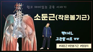 소둔근이 고관절의 심각한 통증을 유발하는 거 아세요27소둔근 [upl. by Clarance]