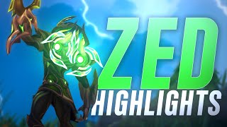 ZED HIGHLIGHTS 24  Road to Grand Master  Tom Fleec [upl. by Aidualc]