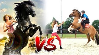 Paardenfilms 🐴🎥 VS De realiteit 😓 [upl. by Divod67]