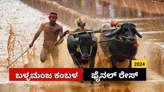 Ballamanja Kambala Final race  ಬಳ್ಳಮಂಜ ಶೇಷ ನಾಗ ಕಂಬಳ ಫೈನಲ್ ರೇಸ್ 202324 [upl. by Attener]