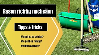 🌱 Rasen nachsäen 🌱  SchrittfürSchritt Anleitung  Tipps amp Tricks So gehts richtig [upl. by Niwre]