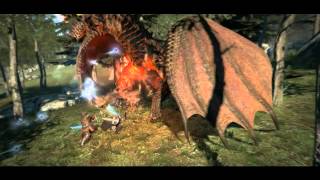 Dragons Dogma Drake Battle [upl. by Tenner]