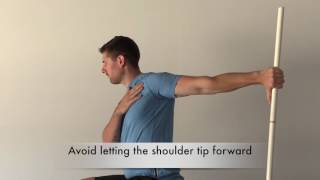 Biceps Brachii Stretch [upl. by Aehsan]