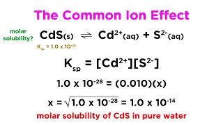 The Common Ion Effect [upl. by Waxman]