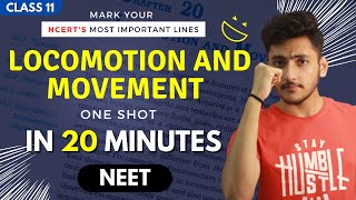 Locomotion and Movement Class 11  Biology  For NEET  Full Revision In 20 Minutes [upl. by Zerep]