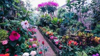 Un paseo por el mercado de plantas y flores en Viveros Coyoacán Ciudad de México 🇲🇽 [upl. by Yusem]