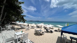 Lost beach bar and Restaurant 🔴 Chaweng beach  Koh Samui  Thailand [upl. by Morganstein655]