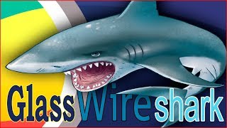 Снифинг трафика Windows  GlassWire  Wireshark [upl. by Egni796]