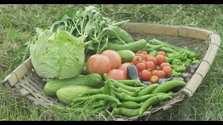 Sustainable agriculture “Natural Farming” Yoshikazu Kawaguchi [upl. by Elvin]