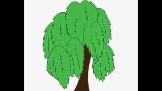 Willow tree How to draw a easy Как нарисовать просто Ива [upl. by Gregrory]