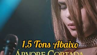 Árvore Cortada Valesca Mayssa Play Back 15 Tons Abaixo [upl. by Mcnalley]