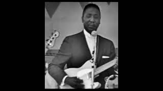 🐟 Muddy Waters Iconic quotCatfish Bluesquot Newport 1960 Live🐟 [upl. by Lizabeth]