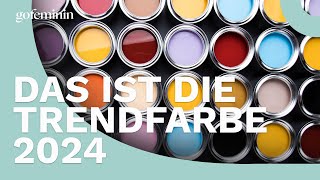 Laut Pantone Das ist die Trendfarbe 2024 [upl. by Nathan]