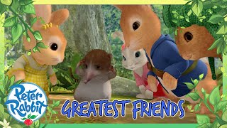 OfficialPeterRabbit  ❤️ Super Best Friends Forever ❤️  20 Mins  Cartoons for Kids [upl. by Oirotciv]