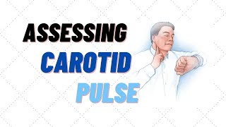 How to find and assess carotid pulse rate [upl. by Neret]