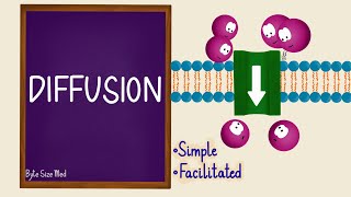 Diffusion  Passive Transport  Transport Across the Cell Membrane  Cell Physiology [upl. by Widera781]