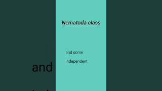 what is nematodesnematoda classnematodeparasitemicrobiologylabtechnician4346 [upl. by Eiramanin81]