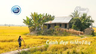 Cảnh đẹp miệt vườn miền Tây  Khói Lam Chiều  Best places to visit in southern vietnam [upl. by Ecirtnuahs477]