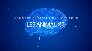 Hypnose sur les Animaux [upl. by Ulland139]