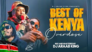 Best of Kenya Songs Video Mix Overdose Hits 2023 Dj Araab King Ft Wakadinali Bien Vijana Barubaru [upl. by Richara668]