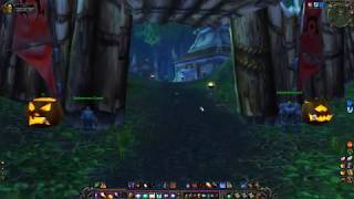 The Ashenvale Hunt WoW Classic Quest Turn in spot [upl. by Balthasar]