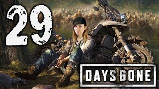 Days Gone 29  Volver a ser un nómada  Lets Play Español  loreniitta90 [upl. by Kresic]