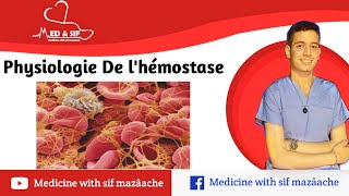 2 Physiologie de LHémostase  Physiologie 2ème MED [upl. by Lamrert919]