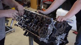 2003 Cobra quotTerminatorquot 46 Engine Teardown [upl. by Hebel615]