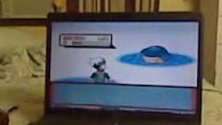 pokemon emerald how to catch wailmer [upl. by Otis]