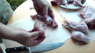 How to Quarter or Disjoint A Rabbit Butchering Rabbit [upl. by Bonns]