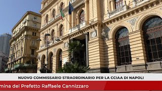 TG SI Informa 29 luglio 2024 [upl. by Ilojna]