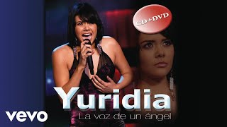 Yuridia  Maldita Primavera Cover Audio [upl. by Melcher]