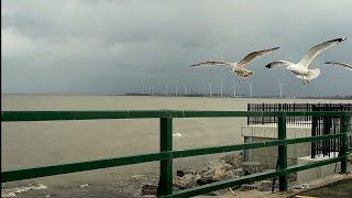 Wind Powered Clouds [upl. by Trescott]