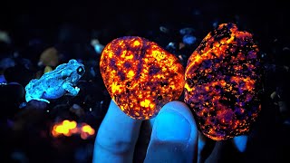 Incredible GLOWING Yooperlite Rocks BLUE Crystals Garnets and MORE Found in Michigan [upl. by Serrano]