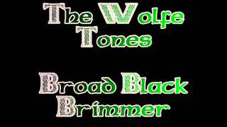 The Wolfe Tones  Broad Black Brimmer [upl. by Jacquelynn479]